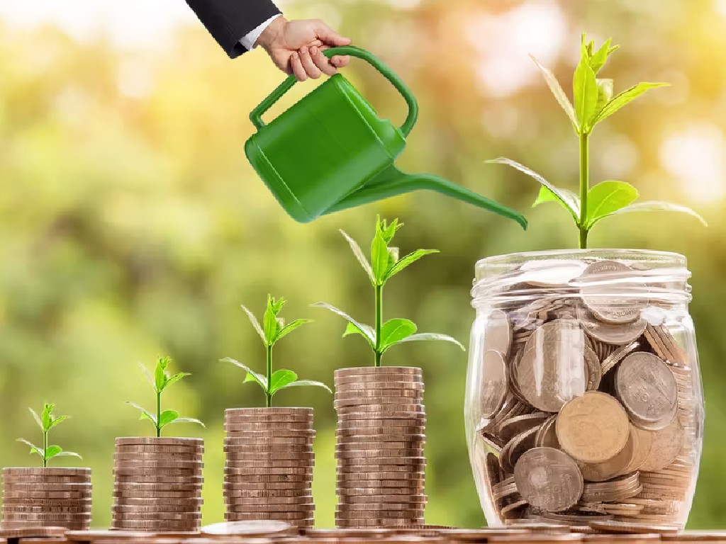 3 Jenis Investasi yang Cocok untuk Pemula Agar Terus Cuan | Tagar