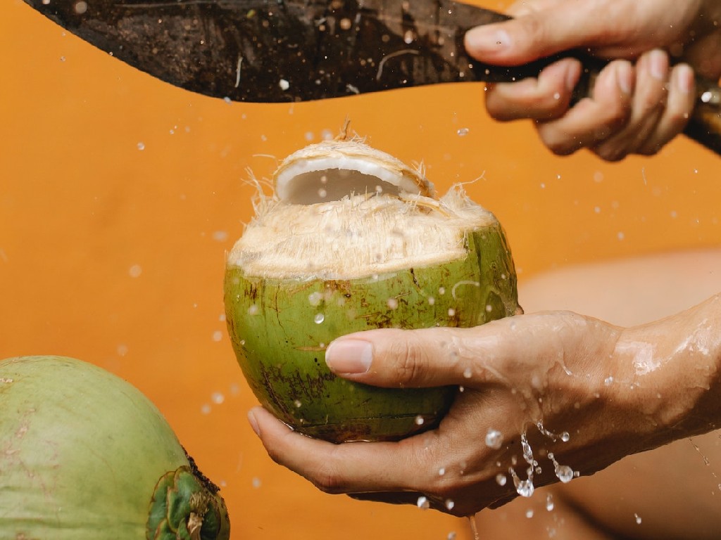 Ilustrasi air kelapa