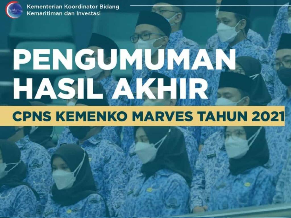 CPNS Kemenko Marves
