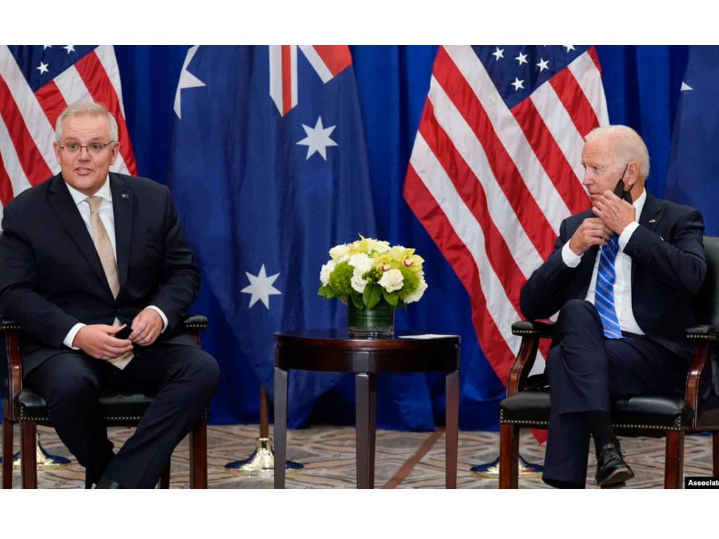 biden dan morrison