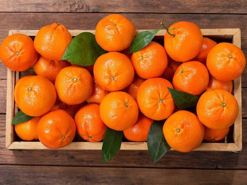 Jeruk Mandarin