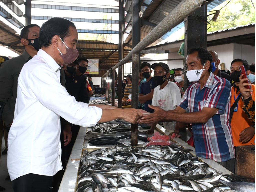 jokowi di binjai