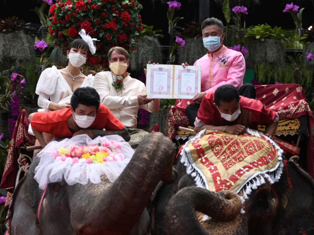 menikah di atas gajah di thailand