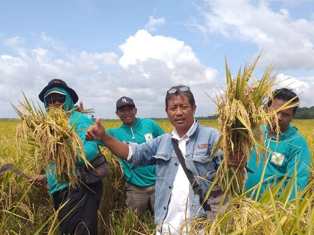 Petani Bojonegoro