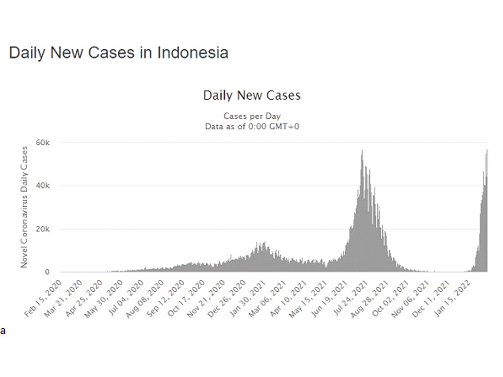 grafik kasus haria covid di indonesia