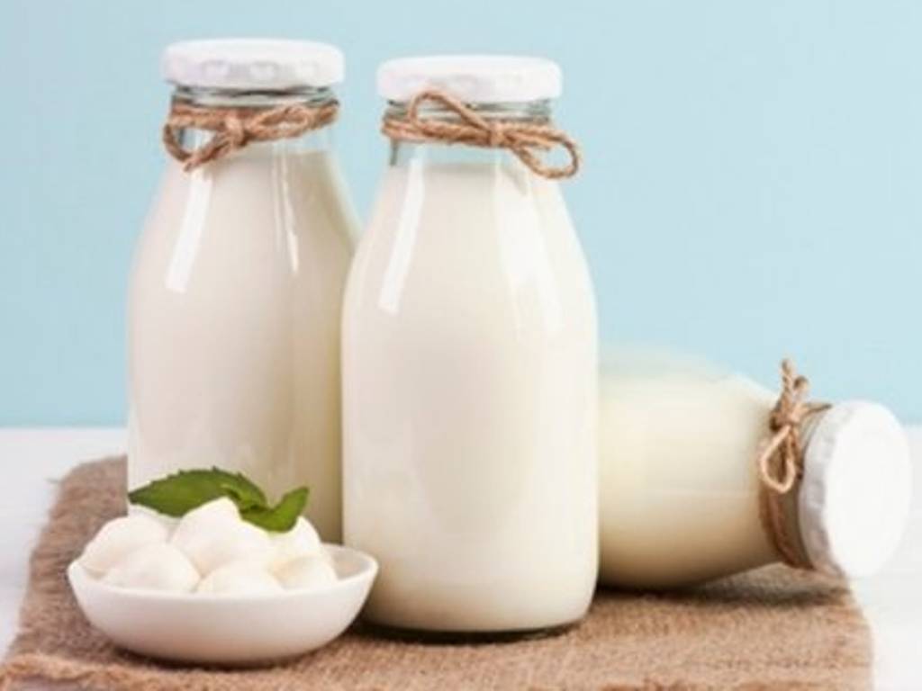 Manfaat Susu Kambing