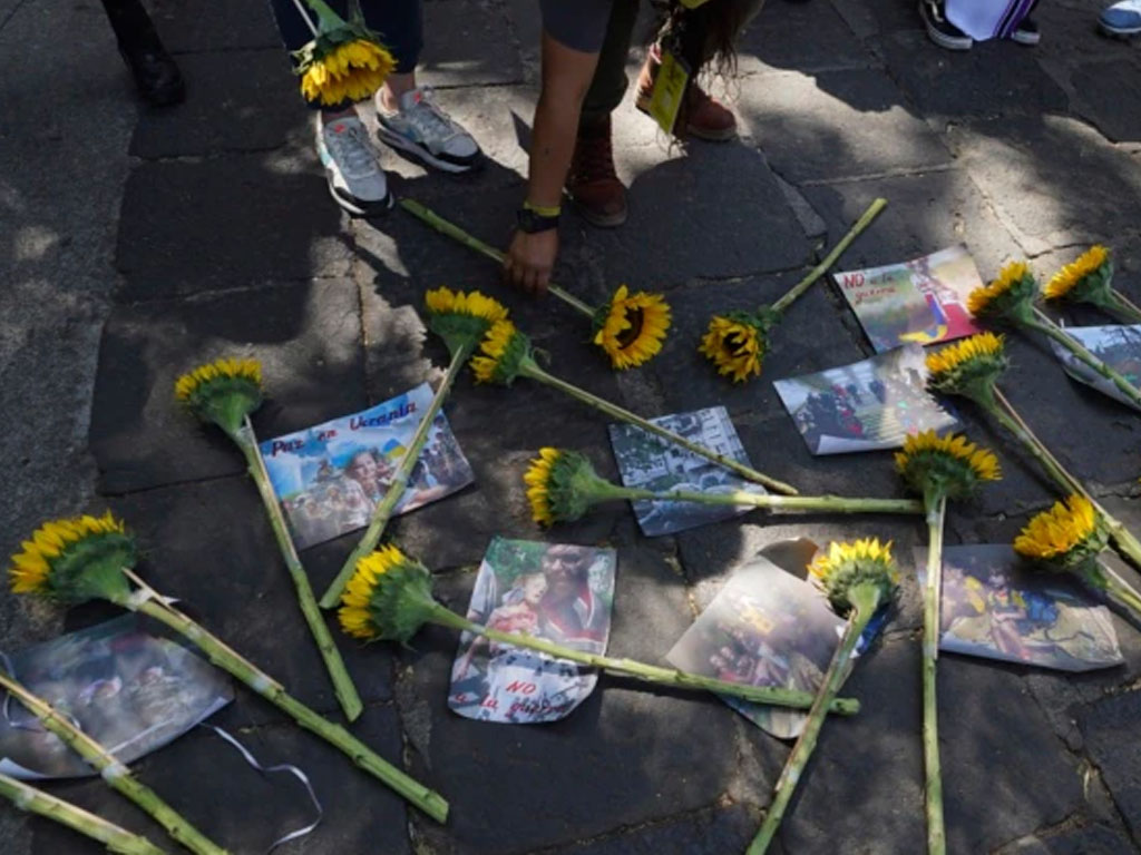 bunga matahari di demo di meksiko