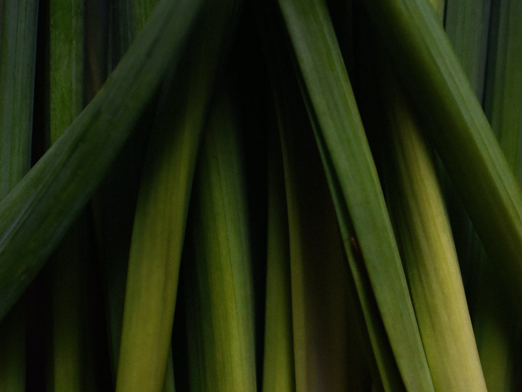 Daun sere.