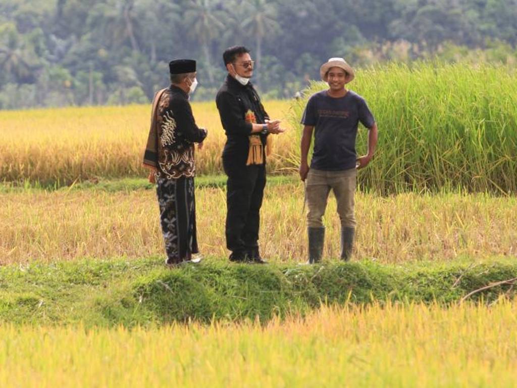 Kementan