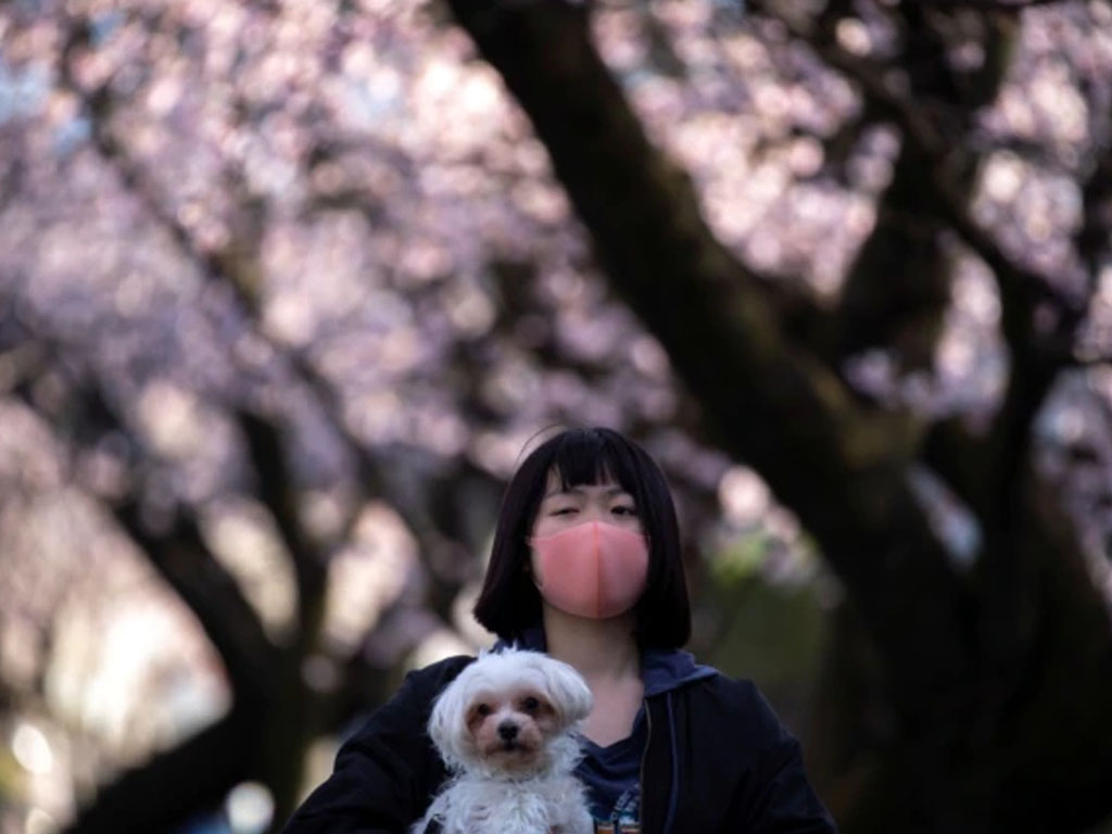 perempuan pakai masker di jepang