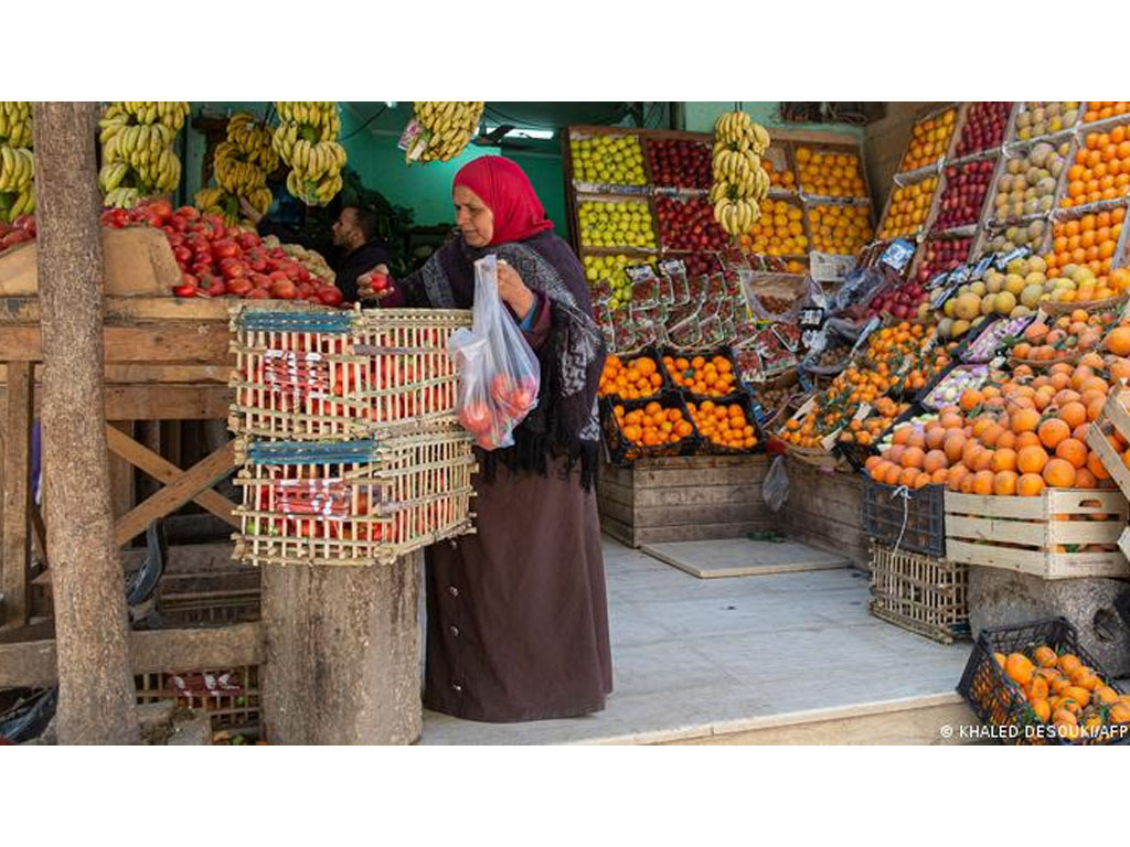 pedagang buah di kairo