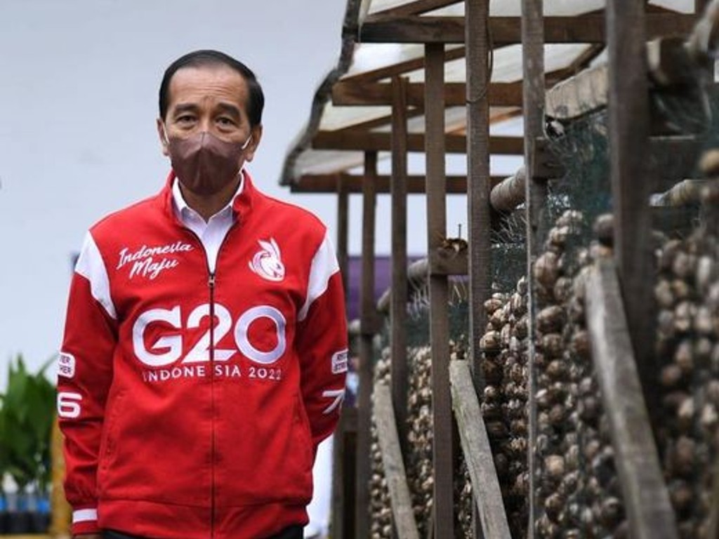Presiden Jokowi