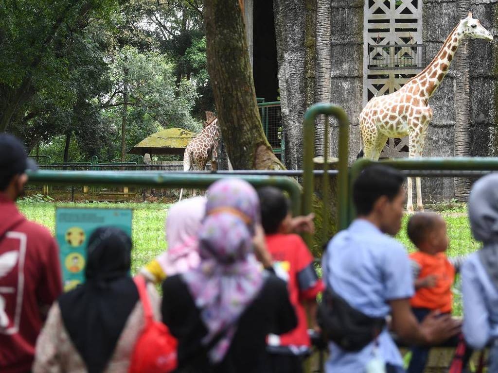 kebun Binatang Ragunan