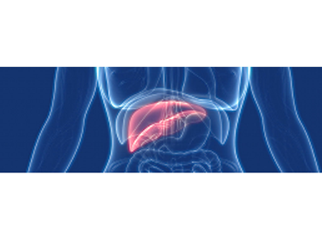 ilus hepatitis akut
