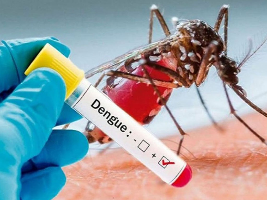dengue positif