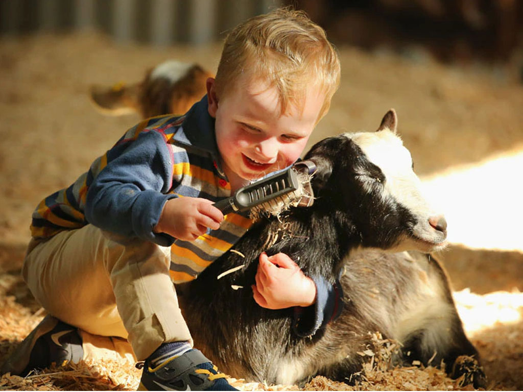 Royal Melbourne Show Australia