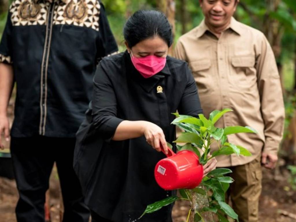 Puan Maharani