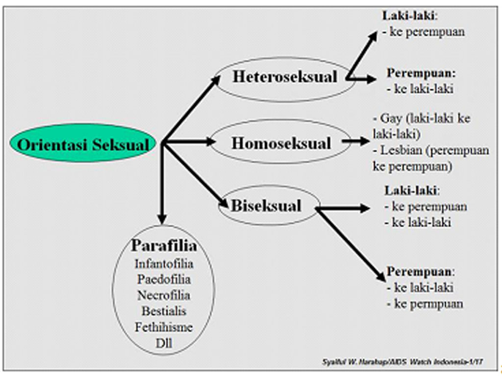 orientasi seksual