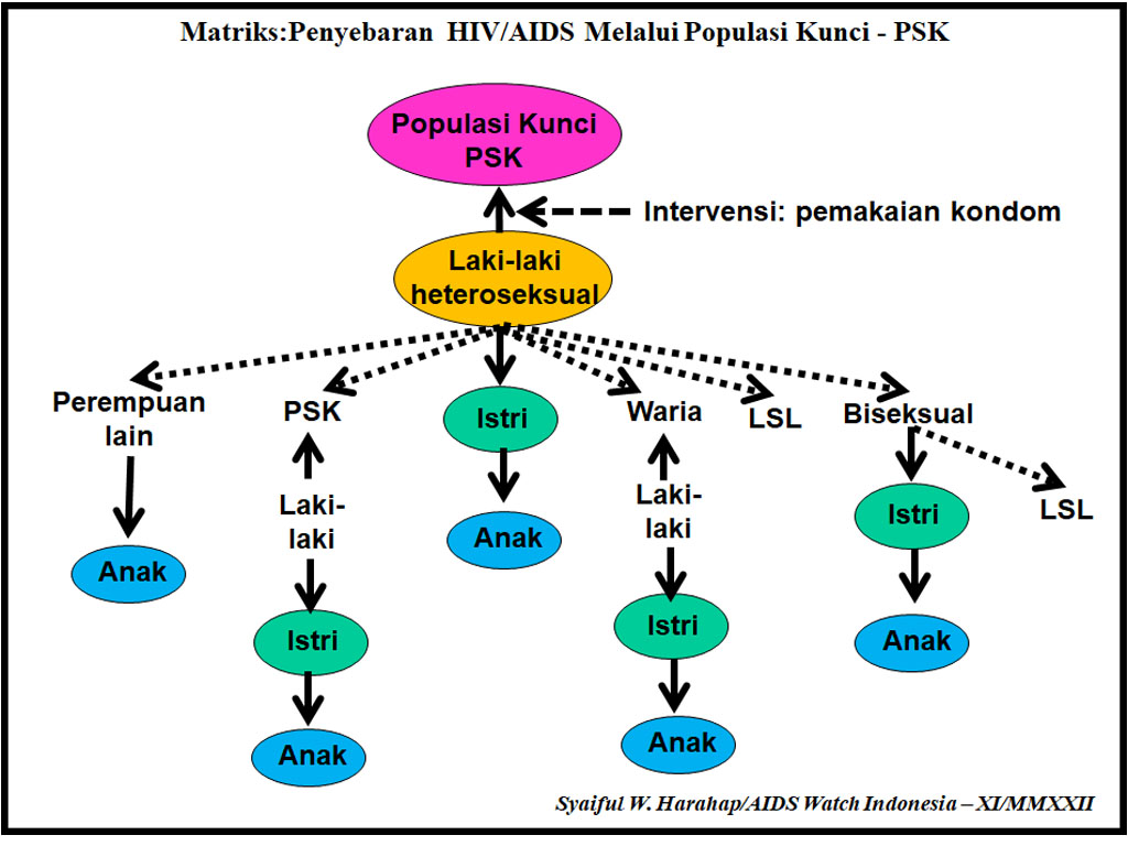 Matriks Penyebaran  HIV AIDS Melalui Populasi Kunci  PSK