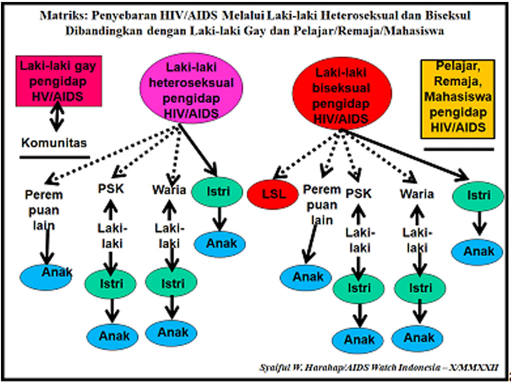 matrik penyebaran hiv melalui gay dan heteroseksual