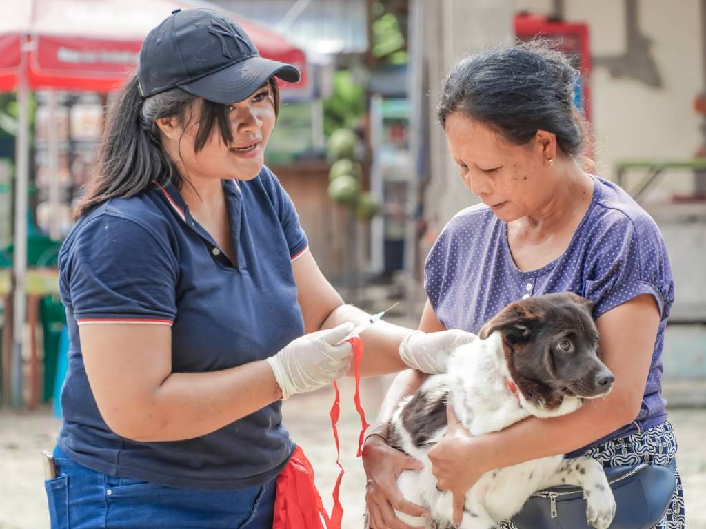 Bali Kendalikan PMK dan Rabies, Siap Sukseskan KTT G20 Mendatang