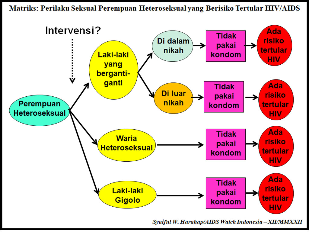 Matriks Perilaku Seksual Perempuan Heteroseksual yang Berisiko Tertular HIVAIDS