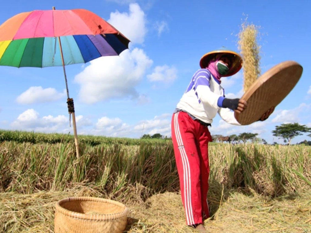 petani di jatim