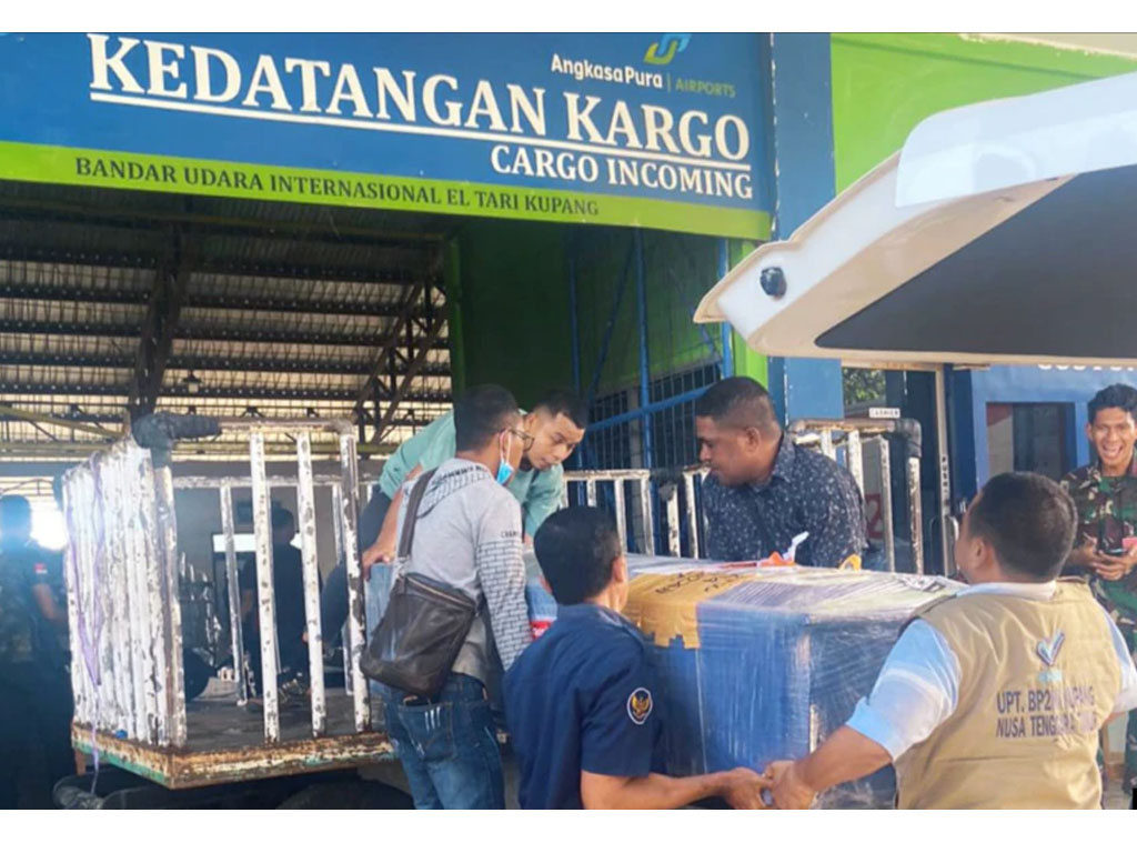 peti jenazah di bandara kupang