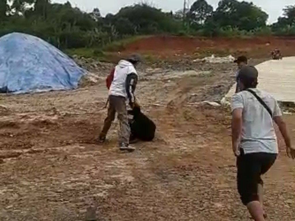 Semua Pelaku Penganiayaan Pemuda yang Viral di Jonggol Ditangkap
