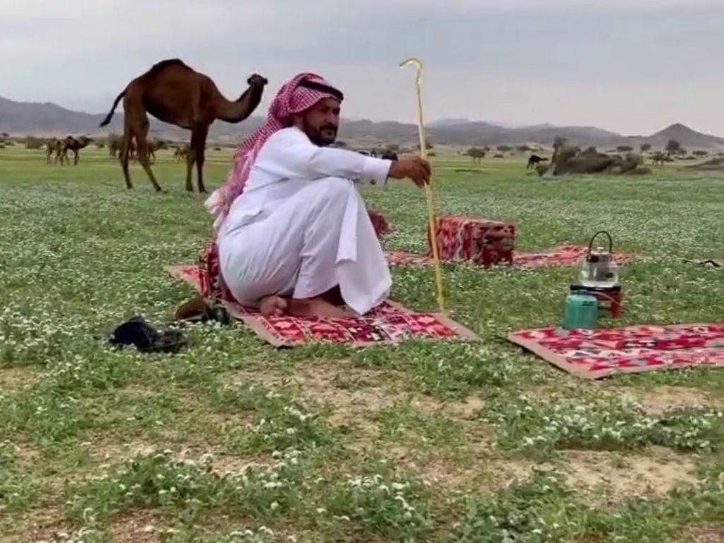 Arab Saudi Tampak Hijau