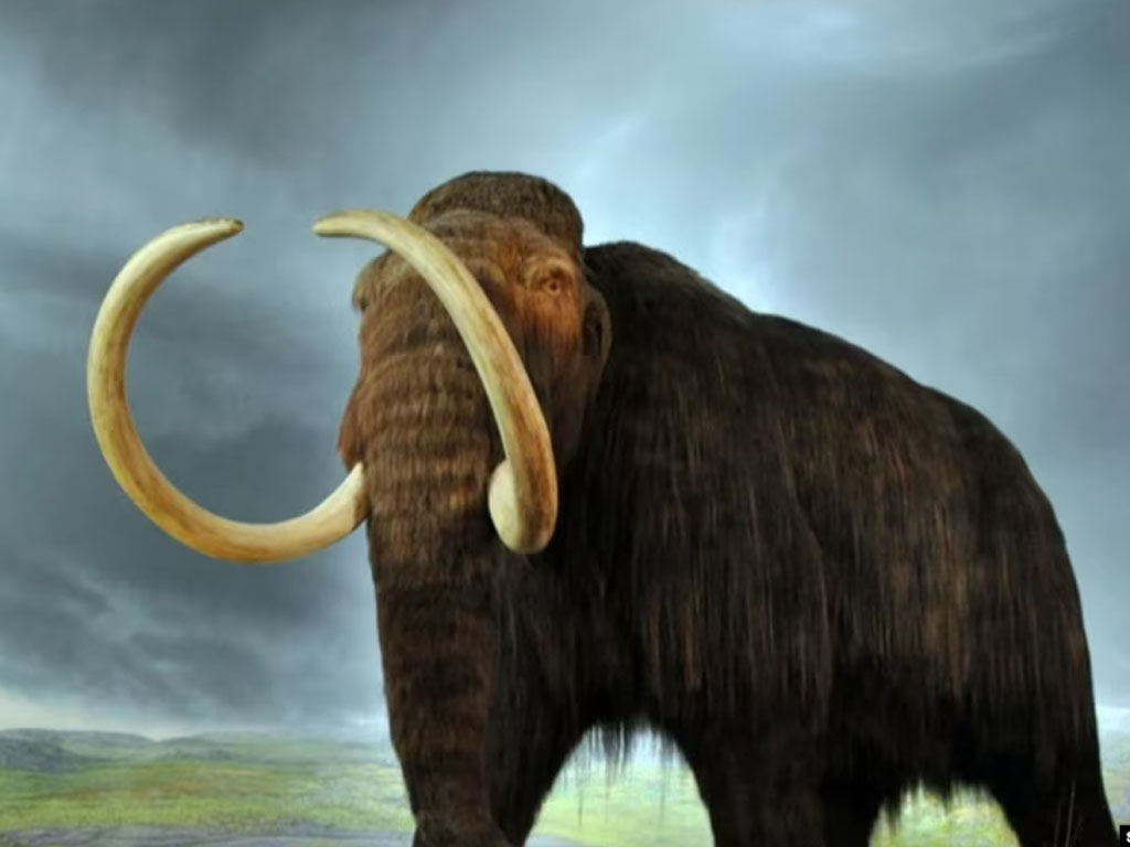 Replika mammoth