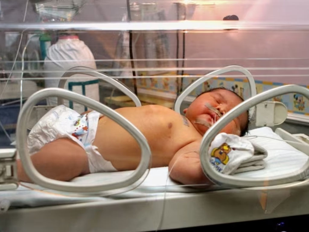 bayi di inkubator RS Fatmawati jakarta
