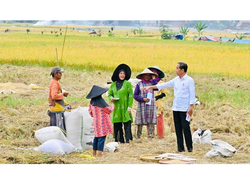 jokowi hampiri petani