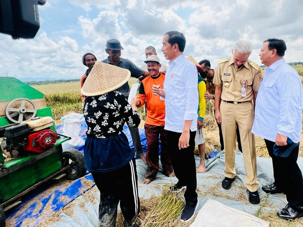 jokowi panen raya di jateng