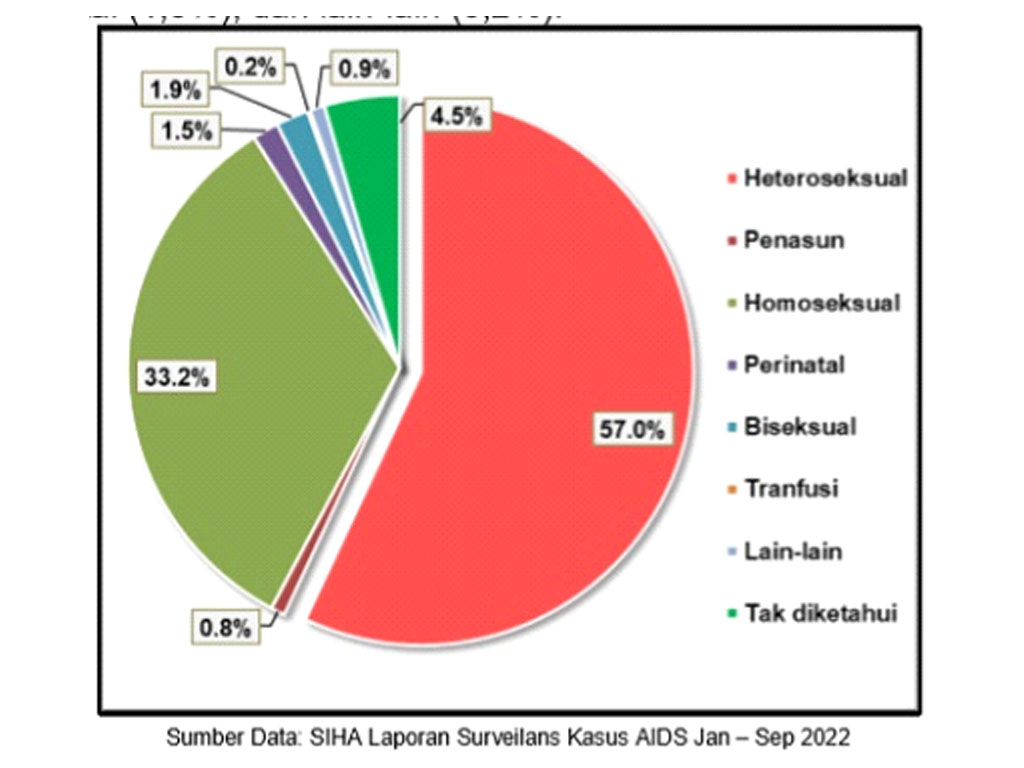 kasus aids per provinsi berdasarkan faktor risiko jan sep 22