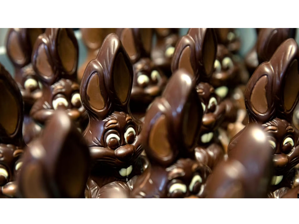 Cokelat berbentuk kelinci