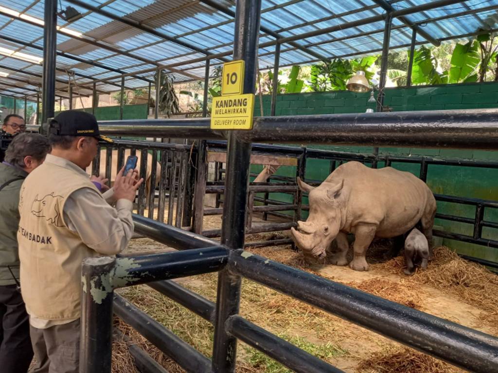 Taman Safari Bogor