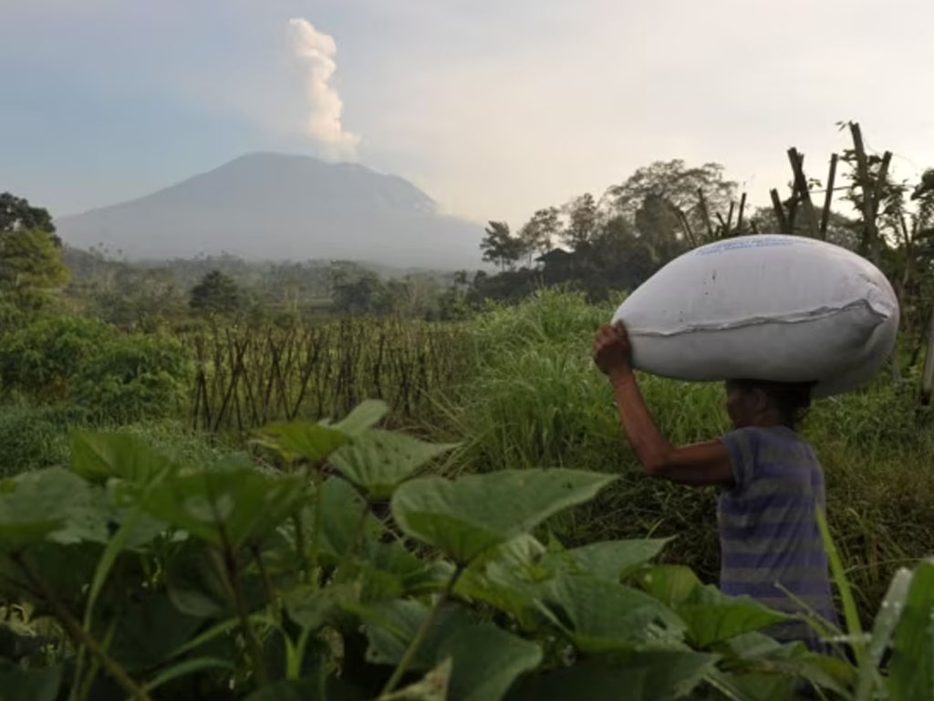 petani bawa pupuk di bali