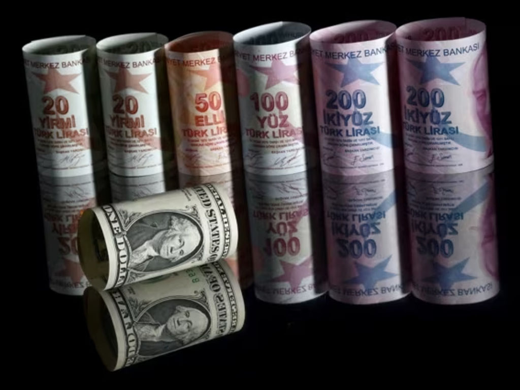 dolar dan mata uang turki