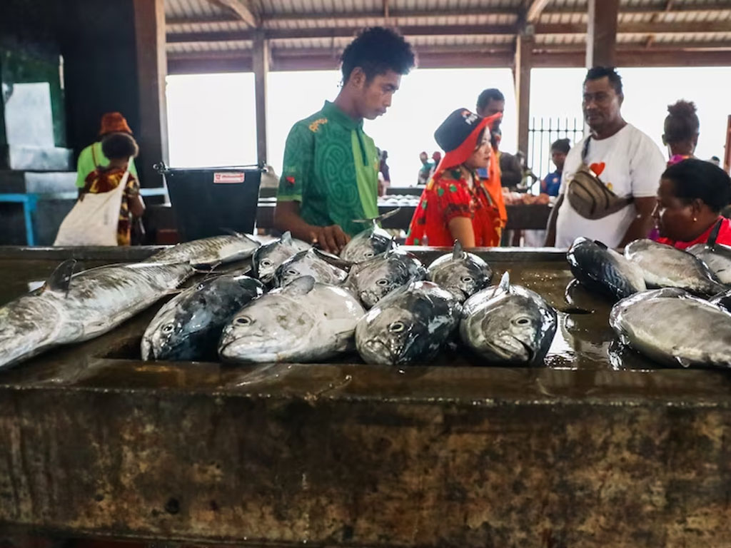 Nelayan Papua Nugini khawatir dengan rencana Jepang