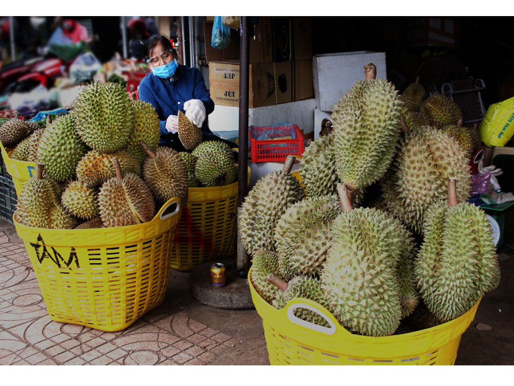 penjual durian di vietnam