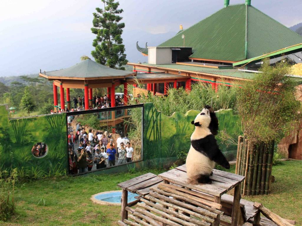 Taman Safari Bogor