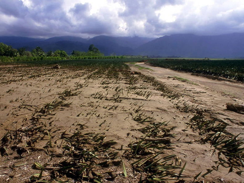 dampak el nino