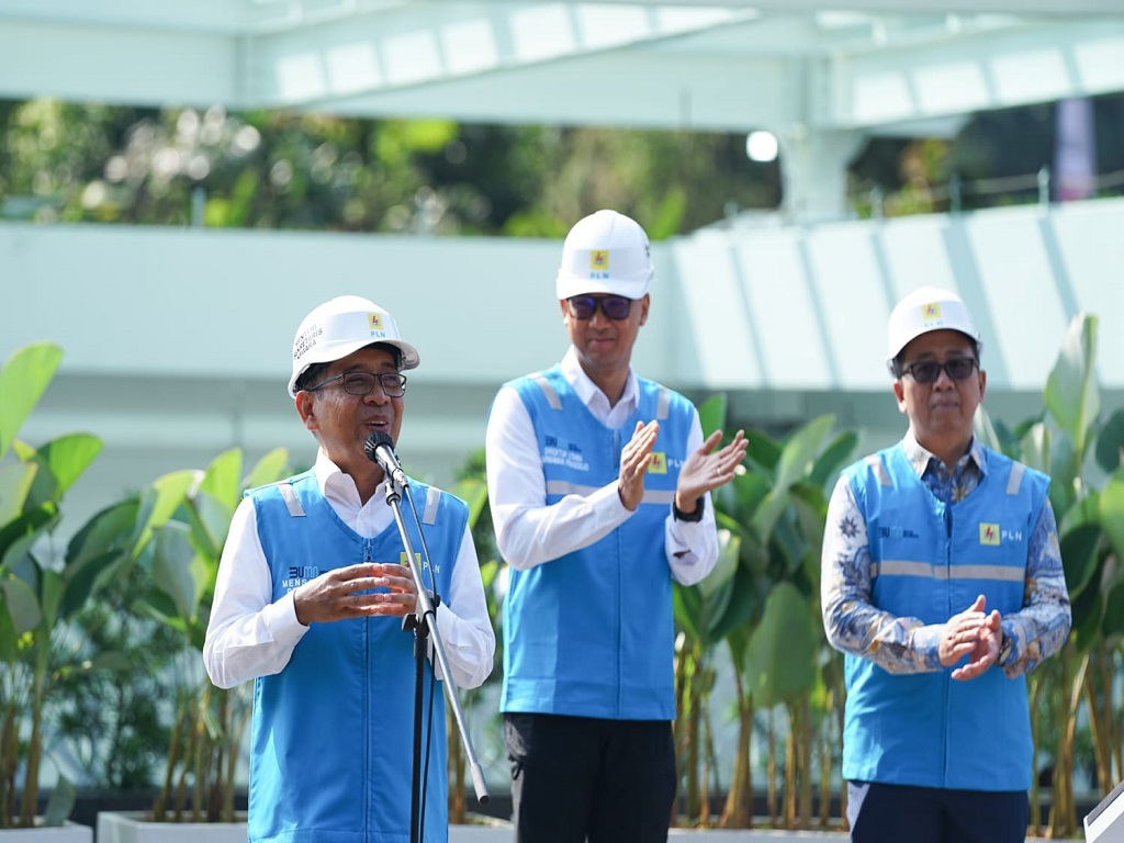 PLN