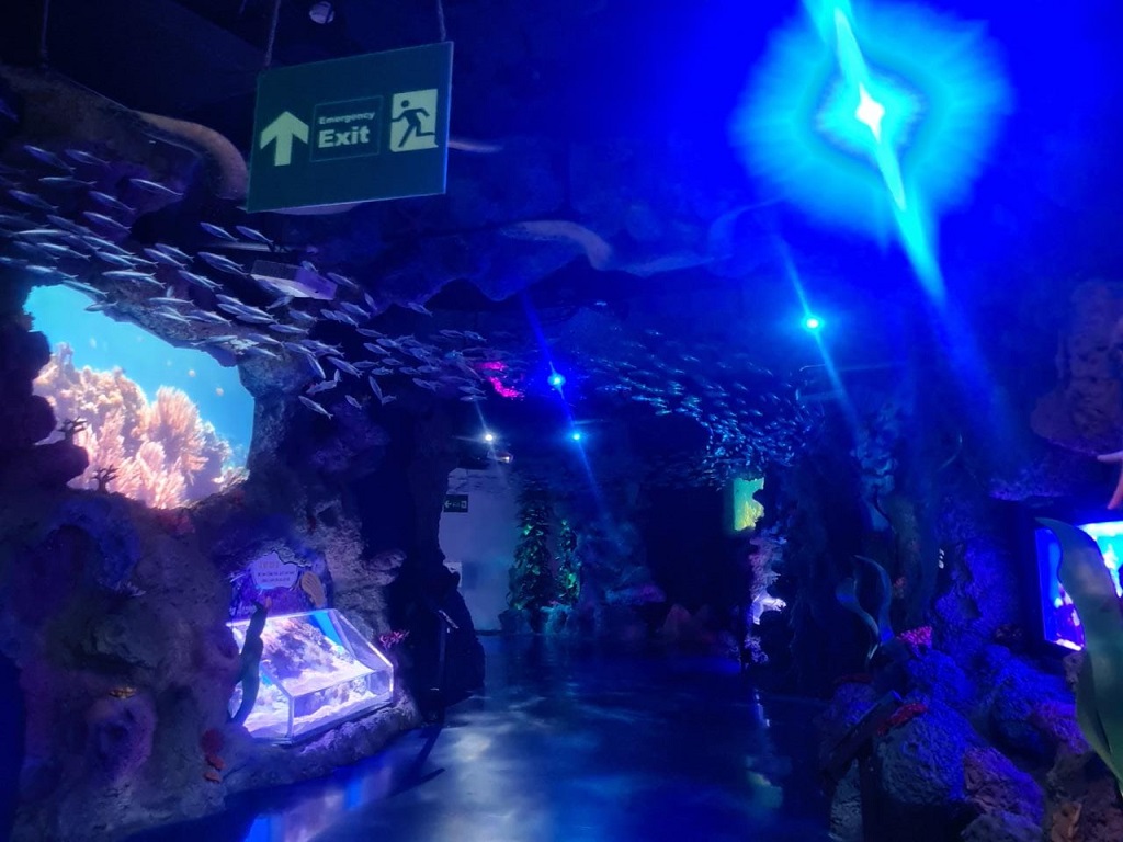 Jakarta Aquarium Safari