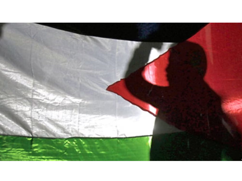 seorang anak kibarkan bendera palestina