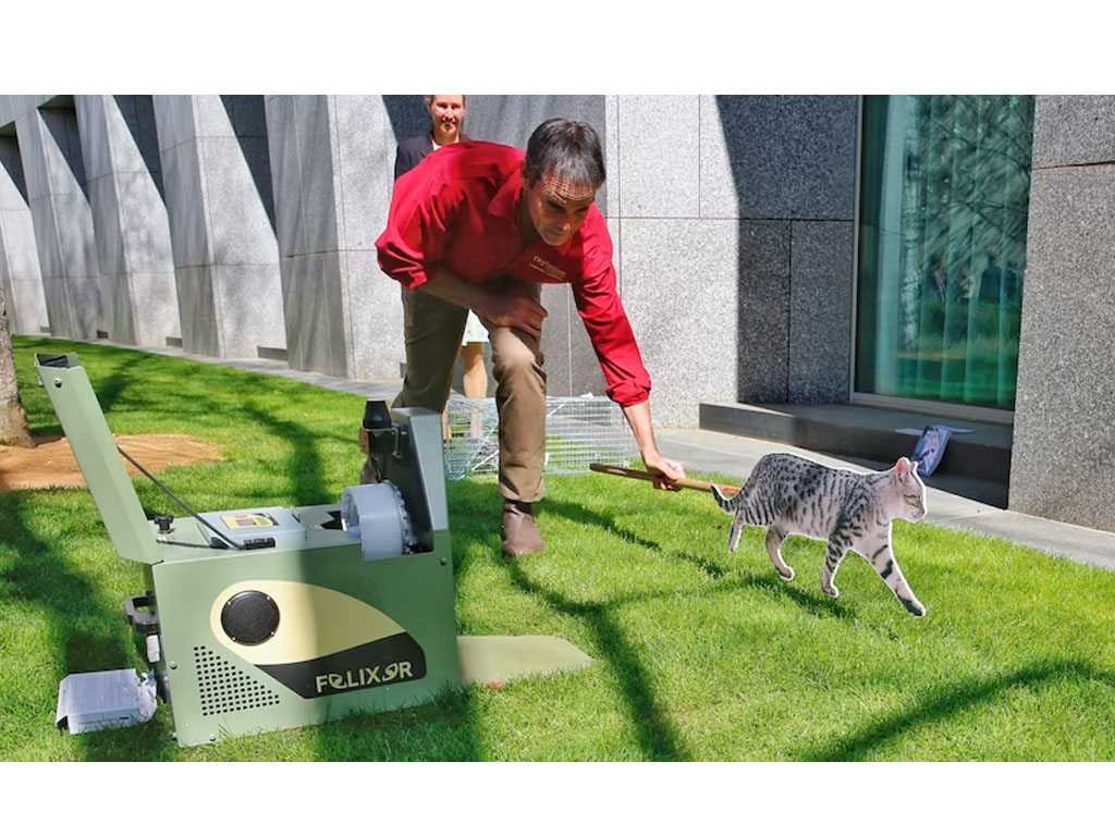 perangkap kucing