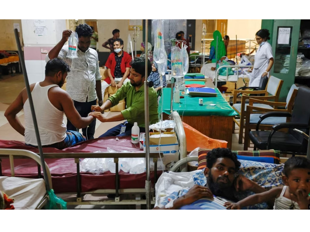 pasien demam berdarah di bangladesg