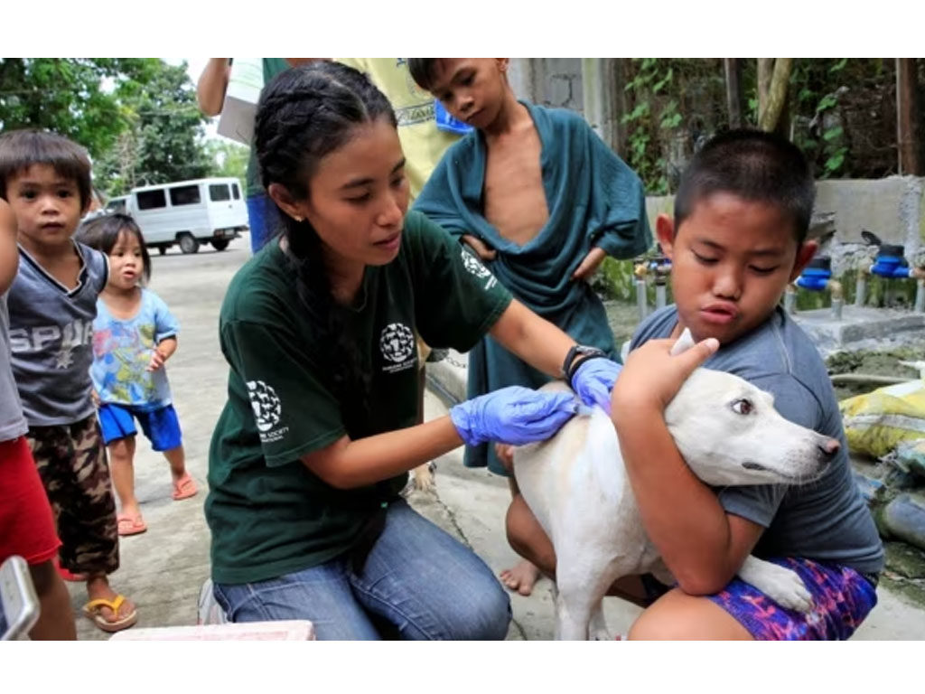 vaksinasi anjing di manila