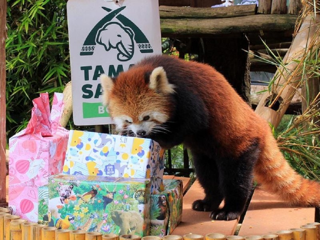 Taman Safari Bogor